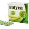 EULYCA (Eucalyptol 100mg, Menthol 0.5mg, Tinh dầu gừng 0.5mg, Tinh dầu dày lá 0.18mg) Hộp 10 vỉ x 10 viên