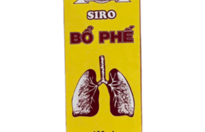 SIRO BỔ PHẾ (Mơ muối 12.5g; Bách Bột 6.25g; Mạch Môn 6.25g; Trần Bì 2.125mg; Cát Cánh 1.5g; Cam Thảo 1.375g)  Hộp 1 chai 100ml