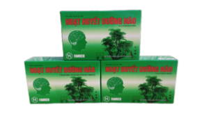HOẠT HUYẾT DƯỠNG NÃO Hộp 10 vỉ x 10 viên