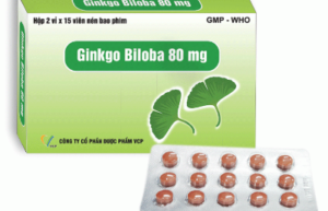 GINKGO BILOBA 80mg (Cao khô lá bạch quả 80mg) Hộp 2 vỉ x 15 viên
