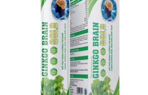 GINKO BRAIN Tuýp 20 viên