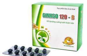 GINKGO 120-B Hộp 10 vỉ x 10 viên