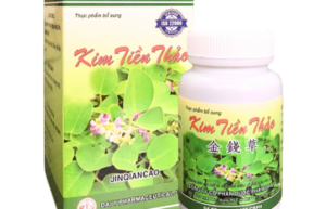 KIM TIỀN THẢO Lọ 100 viên