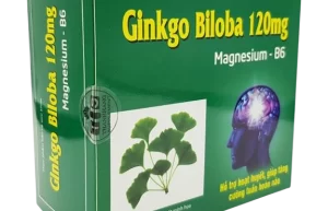 Ginkgo biloba 120mg (Vitamin B6 (Pyridoxine hydrochloride), Ginkgo Biloba, Magnesium Oxide) Hộp 10 vỉ x 10 viên