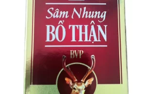 Sâm nhung bổ thận BVP (Chai 30 viên)